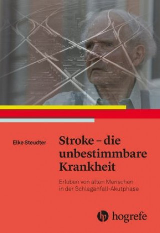 Kniha Stroke - die unbestimmbare Krankheit Elke Steudter