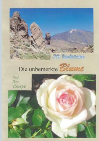 Buch unbemerkte Blume Jo Redstone