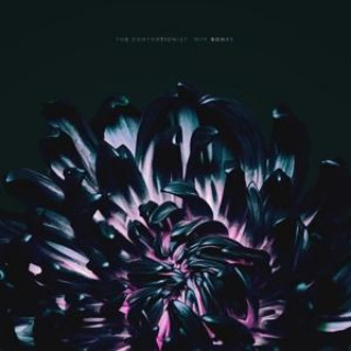 Audio Our Bones The Contortionist
