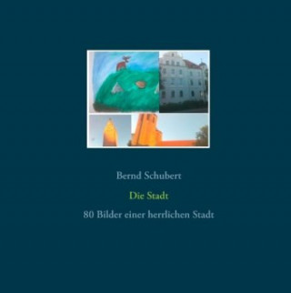 Buch Die Stadt Bernd Schubert