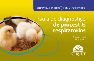 Könyv Guía de diagnóstico de procesos respiratorios R SONCINI