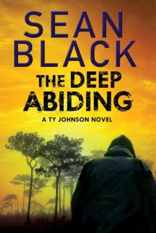 Book Deep Abiding Sean Black