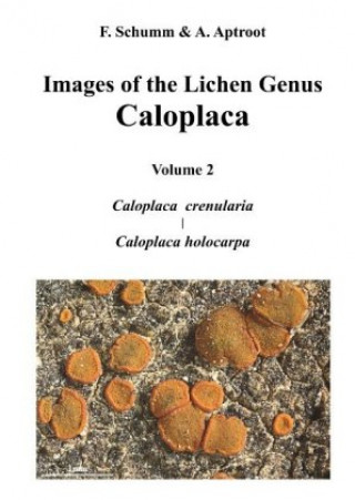 Книга Images of the Lichen Genus Caloplaca, Vol 2 Felix Schumm