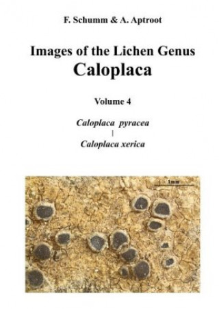 Книга Images of the Lichen Genus Caloplaca, Vol4 Felix Schumm