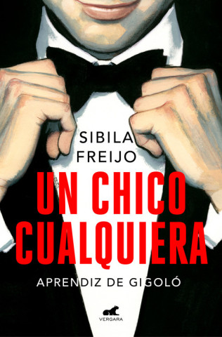 Kniha UN CHICO CUALQUIERA SIBILA FREIJO