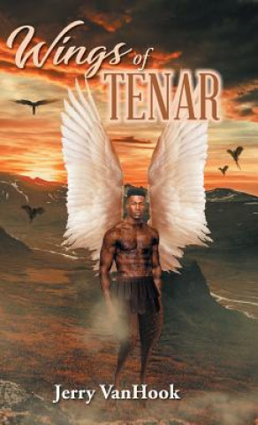 Kniha Wings Of Tenar Jerry VanHook