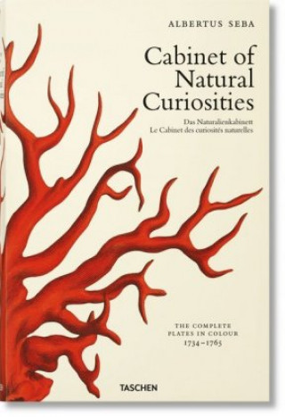Book Seba. Cabinet of Natural Curiosities Irmgard Musch