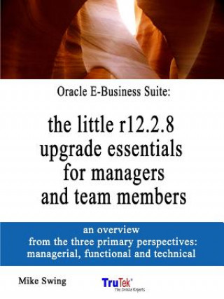 Kniha Oracle E-Business Suite: the little r12.2.8 upgrade essentials for managers and team members Mike Swing