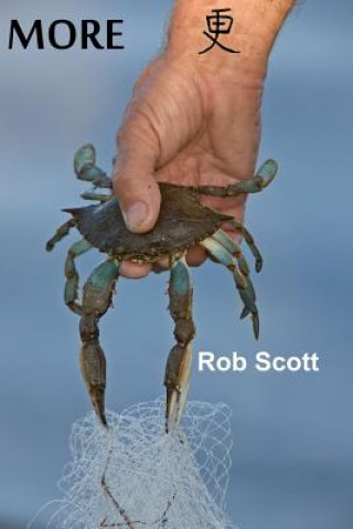 Book More Rob Scott