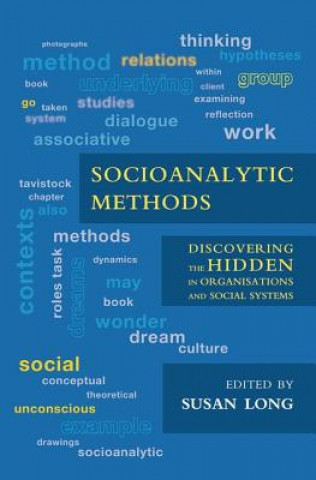 Buch Socioanalytic Methods Susan Long