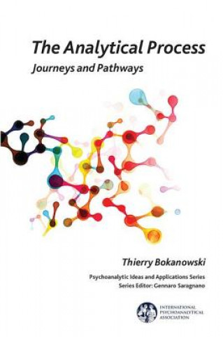 Knjiga Analytical Process Thierry Bokanowski