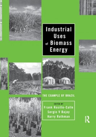 Kniha Industrial Uses of Biomass Energy 