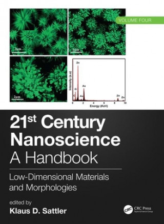 Könyv 21st Century Nanoscience - A Handbook 