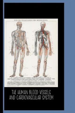Kniha The Human Blood Vessels and Cardiovascular System (1898): College Ruled Notebook: Die Blutgefasse Des Menschen / Gallery and Museum Art Artistry Press