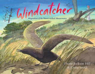Knjiga Windcatcher Diane Jackson Hill