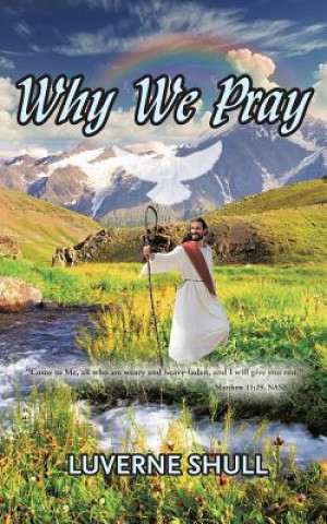 Knjiga Why We Pray LUVERNE SHULL