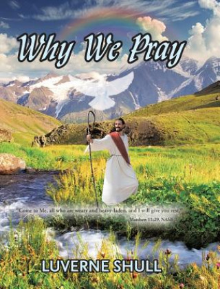 Knjiga Why We Pray LUVERNE SHULL