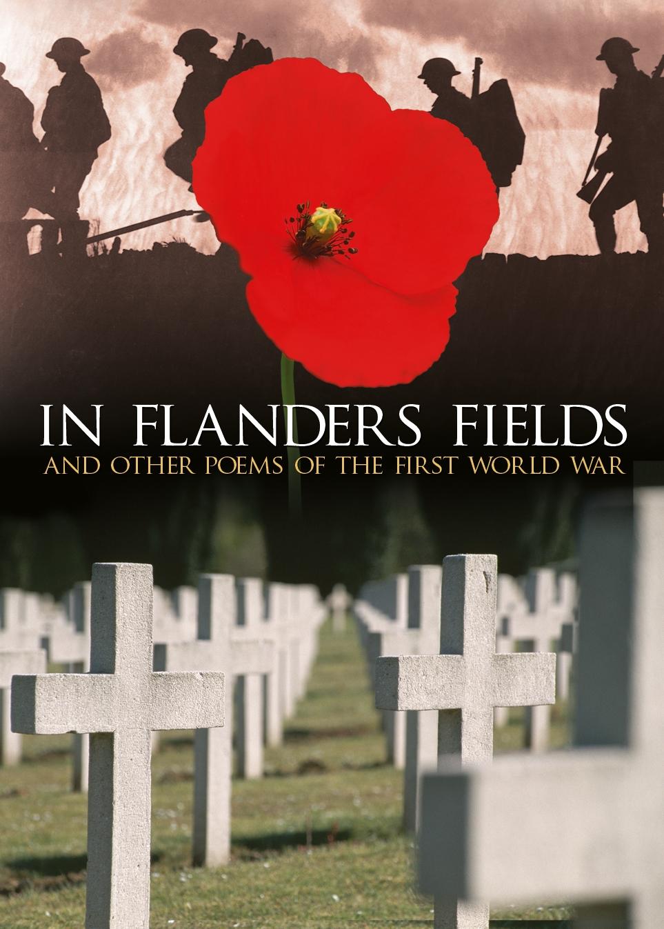 Kniha In Flanders Fields Brian Busby