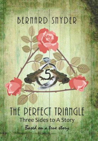 Buch Perfect Triangle Bernard Snyder