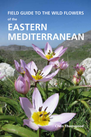 Kniha Field Guide to the Wild Flowers of the Eastern Mediterranean Chris Thorogood