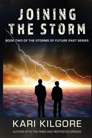 Buch Joining the Storm KARI KILGORE