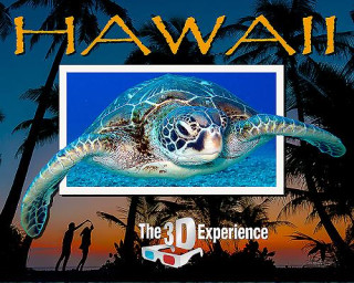 Kniha Hawaii - the 3D Experience Ingo Bauernfeind