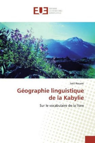 Kniha Géographie linguistique de la Kabylie Said Hassani