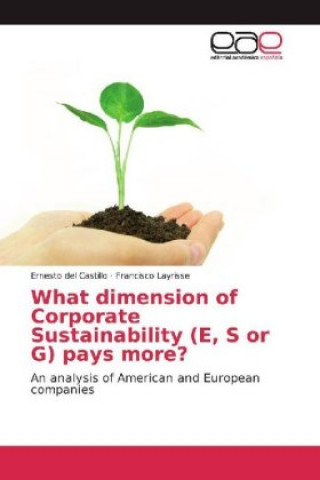Kniha What dimension of Corporate Sustainability (E, S or G) pays more? Ernesto del Castillo
