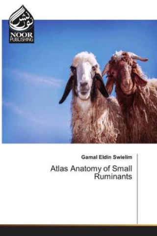 Kniha Atlas Anatomy of Small Ruminants Gamal Eldin Swielim