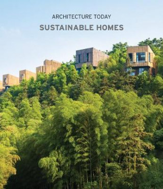 Книга Architecture Today: Sustainable Homes Cayetano Cardelus