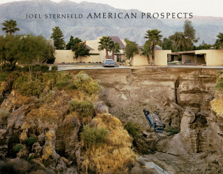 Kniha Joel Sternfeld: American Prospects Joel Sternfeld
