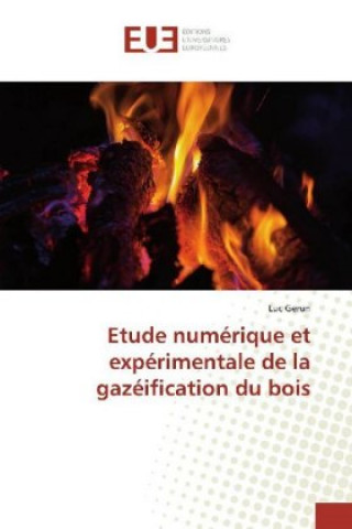 Kniha Etude numérique et expérimentale de la gazéification du bois Luc Gerun