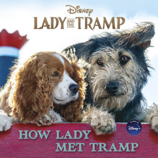 Βιβλίο Lady and the Tramp: How Lady Met Tramp Disney Book Group