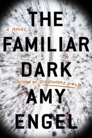 Kniha Familiar Dark Amy Engel