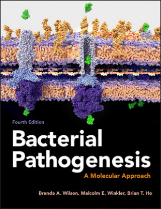 Книга Bacterial Pathogenesis Brenda A. Wilson