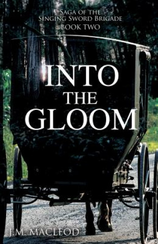 Knjiga Into the Gloom J. M. Macleod