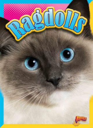 Buch Ragdolls Nicki Clausen-Grace