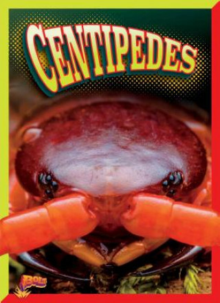 Buch Centipedes Gail Radley