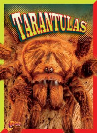 Knjiga Tarantulas Marty Gitlin