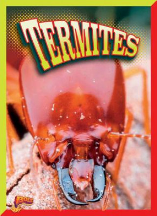 Boek Termites Lyn Sirota