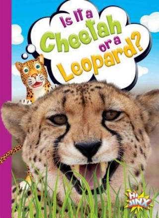 Könyv Is It a Cheetah or a Leopard? Gail Terp