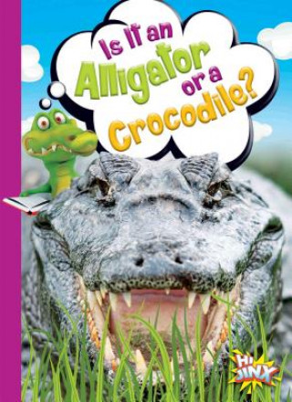 Kniha Is It an Alligator or a Crocodile? Gail Terp