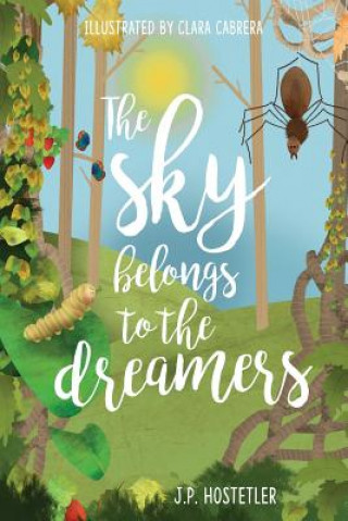 Carte Sky Belongs to the Dreamers J. P. Hostetler