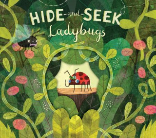 Kniha Hide-and-Seek Ladybugs Paul Bright