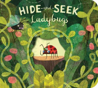 Könyv Hide-And-Seek Ladybugs Paul Bright