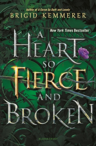 Kniha A Heart So Fierce and Broken Brigid Kemmerer