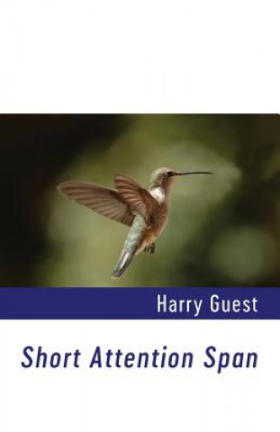 Buch Short Attention Span Harry Guest