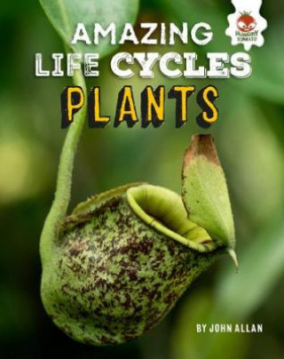 Buch Plants - Amazing Life Cycles John Allan