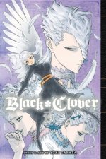 Könyv Black Clover, Vol. 19 Yuki Tabata