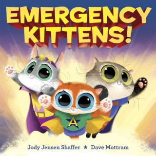 Kniha Emergency Kittens! Jody Jensen Shaffer